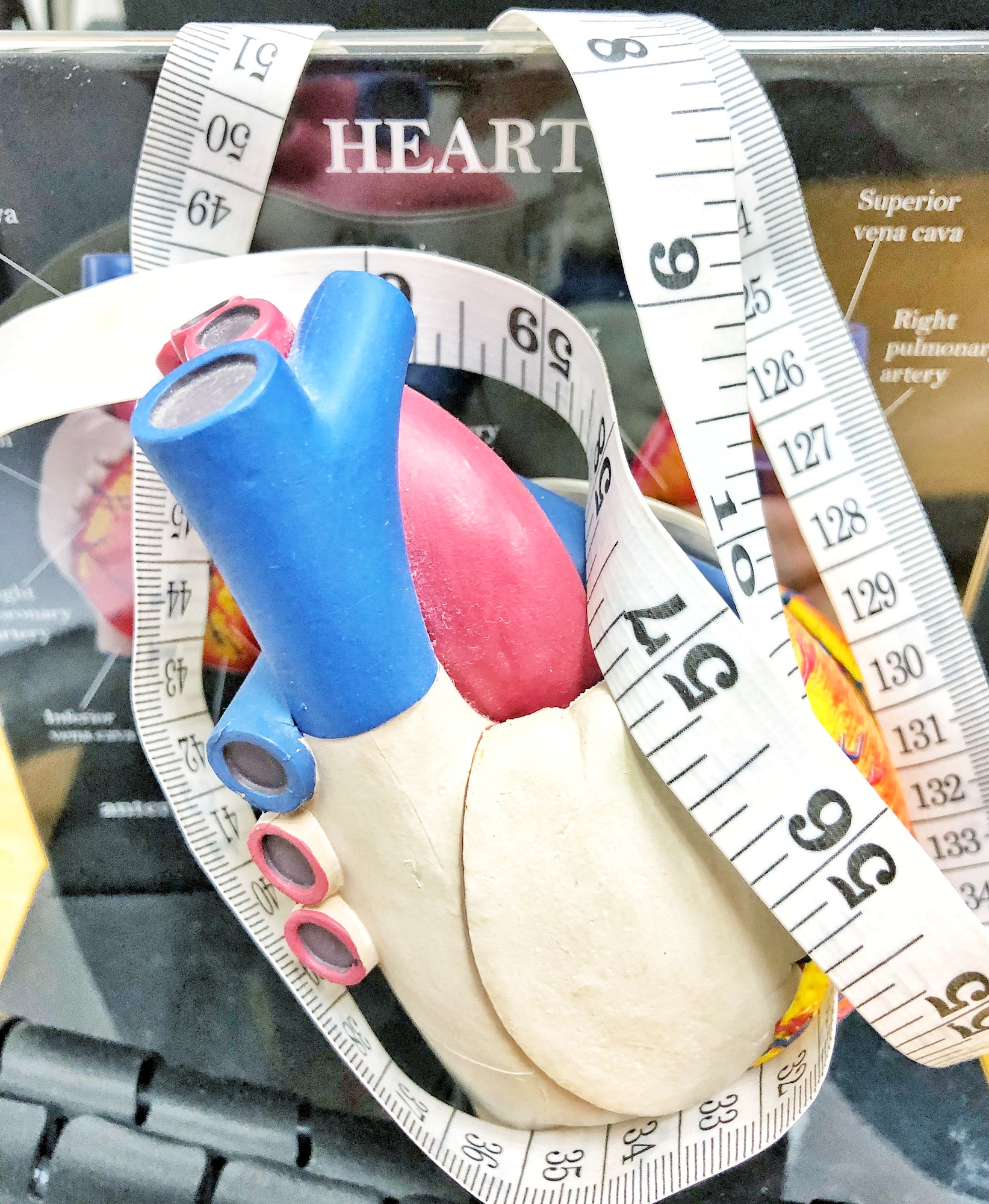 Heart Health Body Mass Index BMI Heart Health Men’s health Women’s health Healthy lifestyle Tape